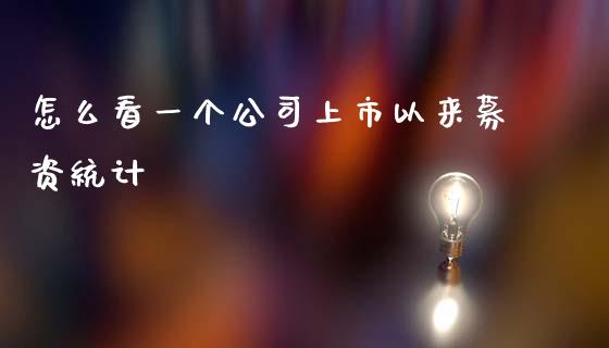 怎么看一个公司上市以来募资统计_https://cj007.lansai.wang_债券资讯_第1张