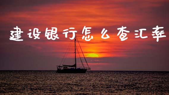 建设银行怎么查汇率_https://cj007.lansai.wang_期货开户_第1张