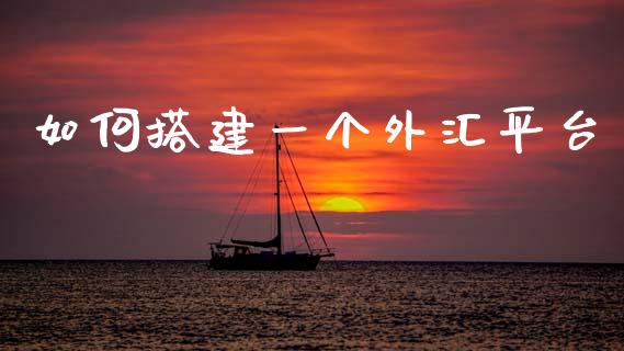 如何搭建一个外汇平台_https://cj007.lansai.wang_期货开户_第1张