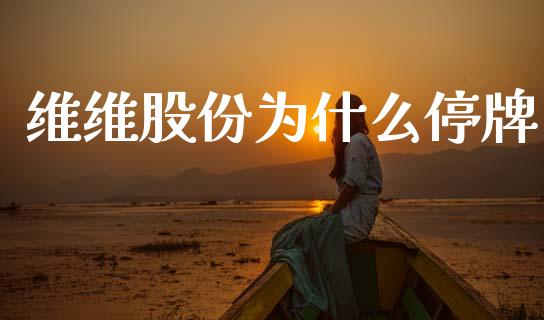 维维股份为什么停牌_https://cj007.lansai.wang_金融监管_第1张
