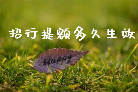 招行提额多久生效_https://cj007.lansai.wang_财经新闻_第1张