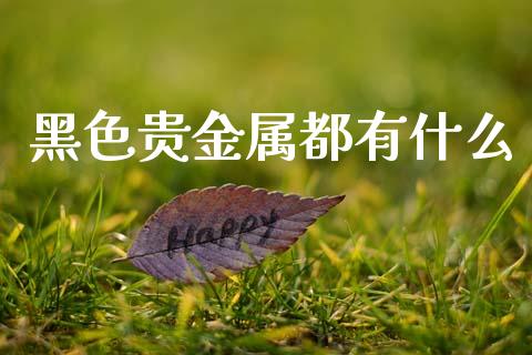 黑色贵金属都有什么_https://cj007.lansai.wang_外汇交易_第1张