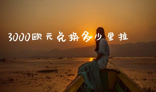 3000欧元兑换多少里拉_https://cj007.lansai.wang_金融监管_第1张