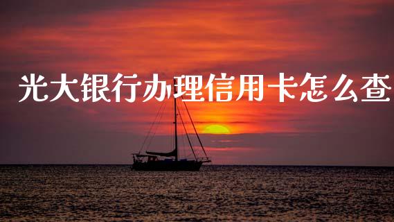 光大银行办理信用卡怎么查_https://cj007.lansai.wang_全球市场_第1张
