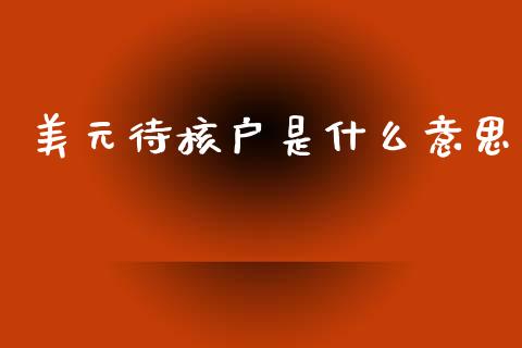 美元待核户是什么意思_https://cj007.lansai.wang_金融监管_第1张