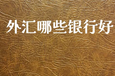 外汇哪些银行好_https://cj007.lansai.wang_债券资讯_第1张