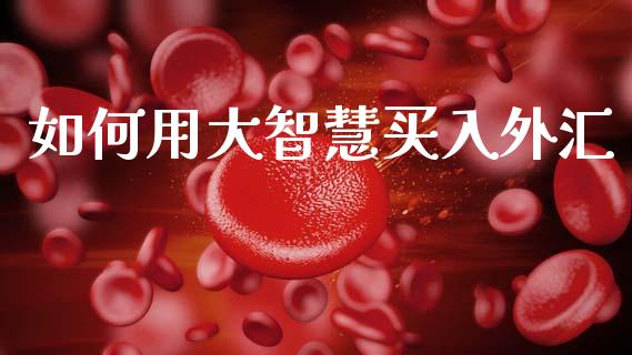 如何用大智慧买入外汇_https://cj007.lansai.wang_财经新闻_第1张