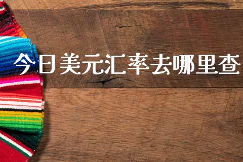 今日美元汇率去哪里查_https://cj007.lansai.wang_金融监管_第1张