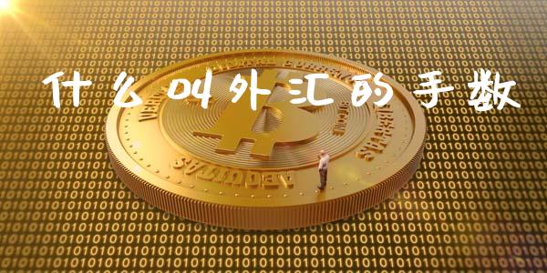 什么叫外汇的手数_https://cj007.lansai.wang_全球市场_第1张