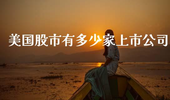 美国股市有多少家上市公司_https://cj007.lansai.wang_全球市场_第1张