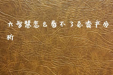 大智慧怎么看不了总资产分析_https://cj007.lansai.wang_期货开户_第1张