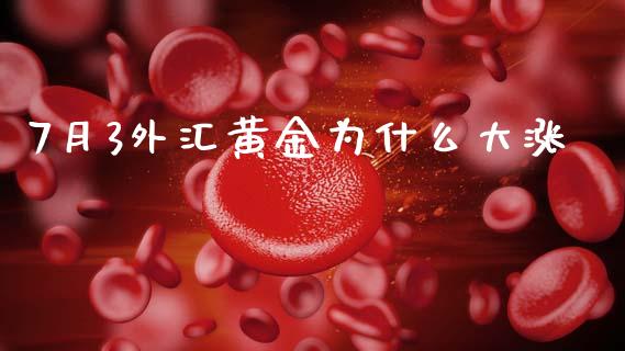 7月3外汇黄金为什么大涨_https://cj007.lansai.wang_财经新闻_第1张