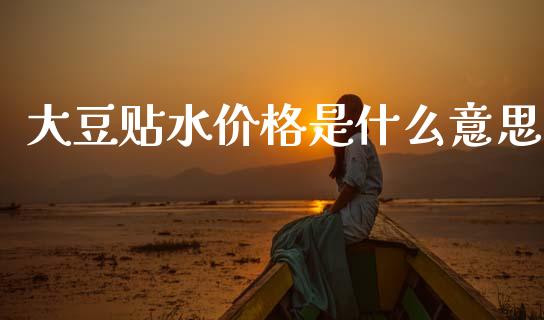 大豆贴水价格是什么意思_https://cj007.lansai.wang_金融监管_第1张
