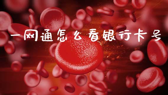 一网通怎么看银行卡号_https://cj007.lansai.wang_外汇交易_第1张
