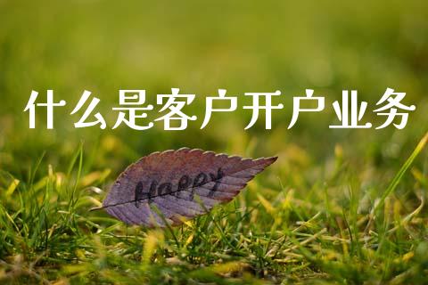 什么是客户开户业务_https://cj007.lansai.wang_外汇交易_第1张