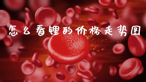 怎么看锂的价格走势图_https://cj007.lansai.wang_期货开户_第1张