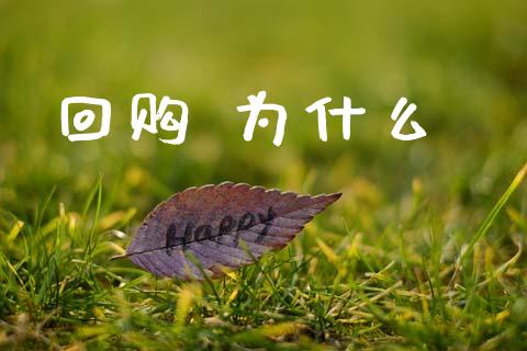 回购 为什么_https://cj007.lansai.wang_金融监管_第1张