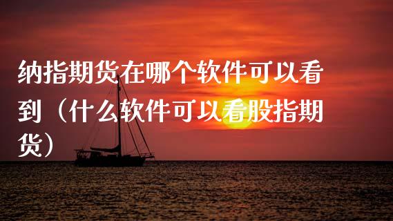 纳指期货在哪个软件可以看到（什么软件可以看股指期货）_https://cj007.lansai.wang_外汇交易_第1张