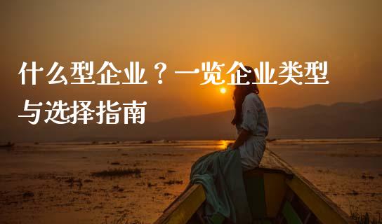 什么型企业？一览企业类型与选择指南_https://cj007.lansai.wang_金融监管_第1张