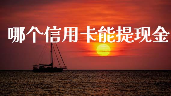 哪个信用卡能提现金_https://cj007.lansai.wang_债券资讯_第1张