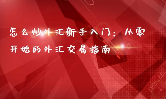 怎么炒外汇新手入门：从零开始的外汇交易指南_https://cj007.lansai.wang_债券资讯_第1张