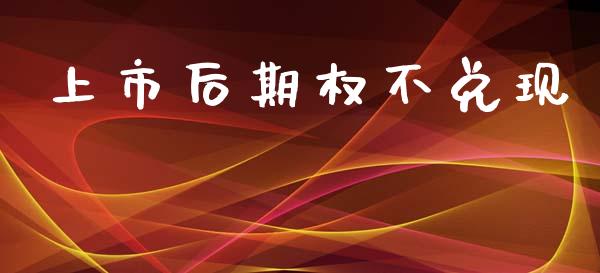 上市后期权不兑现_https://cj007.lansai.wang_财经新闻_第1张