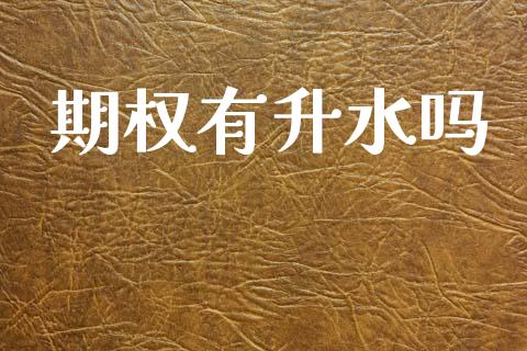 期权有升水吗_https://cj007.lansai.wang_期货开户_第1张