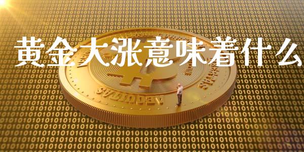 黄金大涨意味着什么_https://cj007.lansai.wang_期货开户_第1张