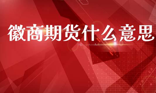 徽商期货什么意思_https://cj007.lansai.wang_债券资讯_第1张