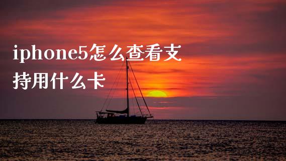 iphone5怎么查看支持用什么卡_https://cj007.lansai.wang_债券资讯_第1张