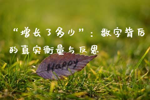 “增长了多少”：数字背后的真实衡量与反思_https://cj007.lansai.wang_债券资讯_第1张