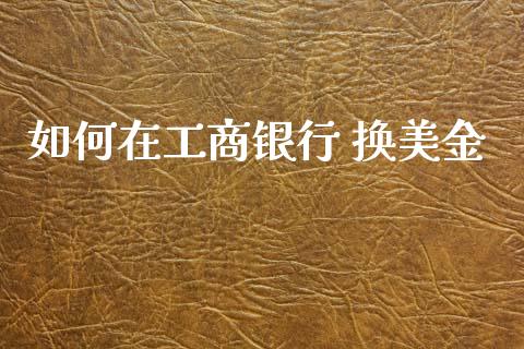 如何在工商银行 换美金_https://cj007.lansai.wang_财经新闻_第1张