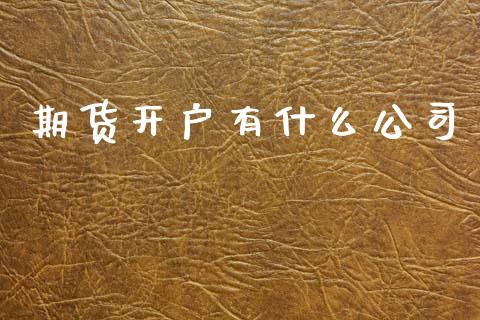 期货开户有什么公司_https://cj007.lansai.wang_金融监管_第1张