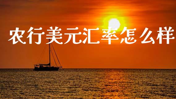 农行美元汇率怎么样_https://cj007.lansai.wang_全球市场_第1张