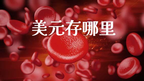 美元存哪里_金融监管_第1张_期货开户_金融监管_外汇交易_债券资讯_全球市场_财经新闻 美元存哪里_https://cj007.lansai.wang_金融监管_第1张