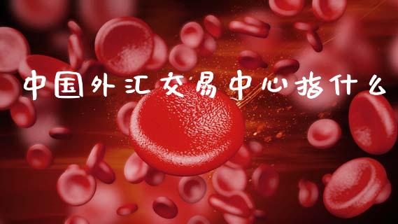 中国外汇交易中心指什么_https://cj007.lansai.wang_财经新闻_第1张