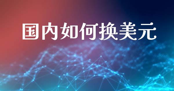 国内如何换美元_https://cj007.lansai.wang_债券资讯_第1张