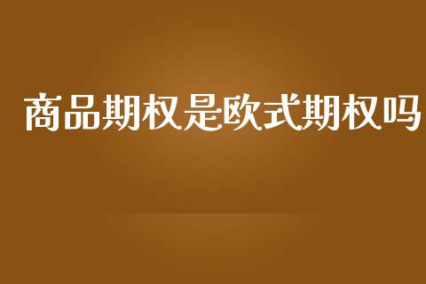 商品期权是欧式期权吗_https://cj007.lansai.wang_外汇交易_第1张