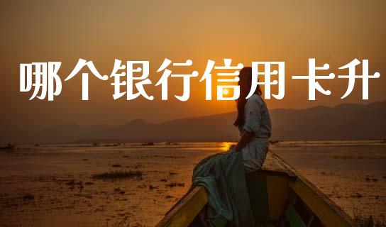 哪个银行信用卡升_https://cj007.lansai.wang_金融监管_第1张