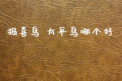 报喜鸟 太平鸟哪个好_https://cj007.lansai.wang_金融监管_第1张