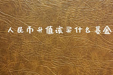 人民币升值该买什么基金_https://cj007.lansai.wang_期货开户_第1张