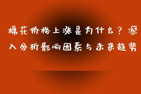 棉花价格上涨是为什么？深入分析影响因素与未来趋势_https://cj007.lansai.wang_期货开户_第1张
