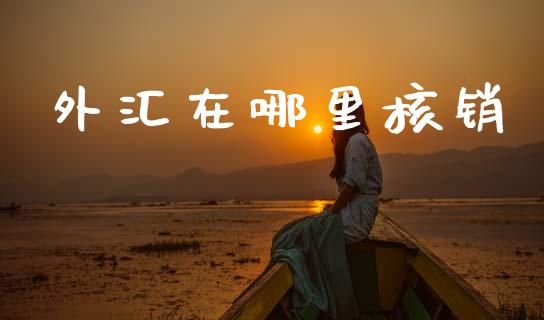 外汇在哪里核销_https://cj007.lansai.wang_金融监管_第1张