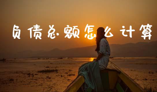 负债总额怎么计算_https://cj007.lansai.wang_债券资讯_第1张