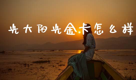 光大阳光金卡怎么样_https://cj007.lansai.wang_全球市场_第1张