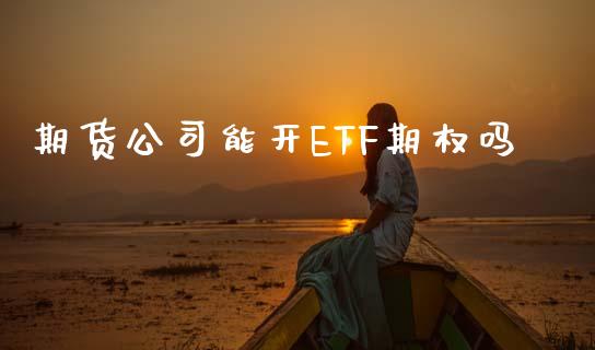 期货公司能开ETF期权吗_https://cj007.lansai.wang_财经新闻_第1张