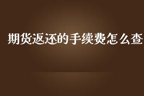 期货返还的手续费怎么查_https://cj007.lansai.wang_全球市场_第1张