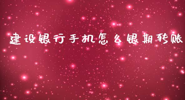 建设银行手机怎么银期转账_https://cj007.lansai.wang_财经新闻_第1张
