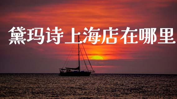 黛玛诗上海店在哪里_https://cj007.lansai.wang_金融监管_第1张
