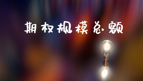 期权规模总额_https://cj007.lansai.wang_债券资讯_第1张